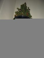 kerstboom.jpg