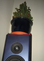 kerstboom.jpg
