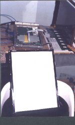 backlight.jpg