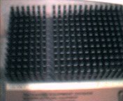 cap0005.jpg