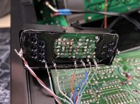 IMG_7753.JPG