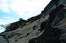 DSC_5547.jpg