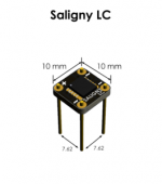 SalignyLC-265x300.png