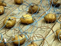 potatoes.jpg