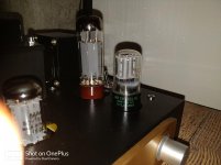 IMG_20201028_161257.jpg