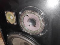 cone1.jpg