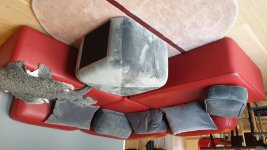 20201009_174929.jpg