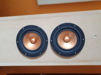 20200823_133916.jpg