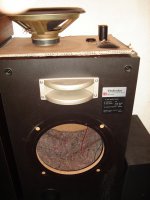Reparación speakers Technics SB-1950 015.JPG