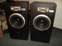 reparacion bafle technics sb1050 049.JPG