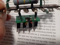 20201004_170004.jpg