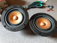 20201020_151728.jpg