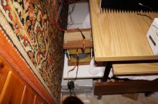 DSC01819.jpg