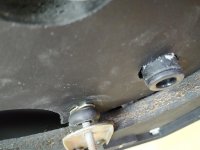 IMG_20200925_124845.jpg