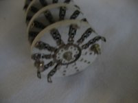 IMG_2760.jpg
