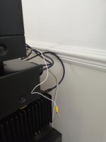 IMG_20200926_100841.jpg