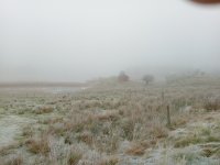 IMG_20201128_103120_302.jpg