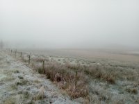 IMG_20201128_103126_786.jpg