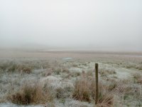 IMG_20201128_103136_479.jpg
