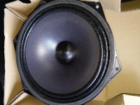 IMG_20200822_154308.jpg