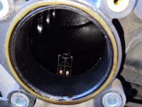 20200926_230315.jpg