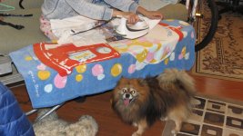 IMG_0237.jpg