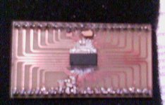 tas3103.jpg