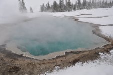 DSC_0418.JPG
