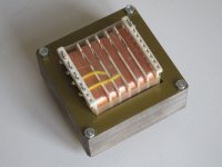 anode choke EI96-26mA-100H--880R-32,5pF.jpg