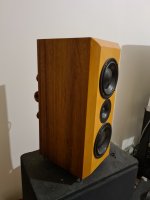 20201210_212550.jpg