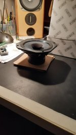 thumbnail (24)audax5.jpg