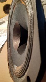 thumbnail (24)audax.jpg