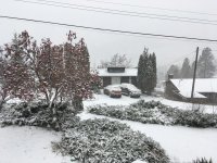 snow.jpg
