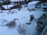 snow3.jpg