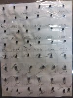 20201023_143714.jpg