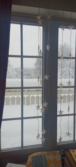 IMG_20201231_120328_595.jpg