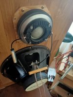 IMG20201115095343.jpg