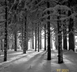 73A814D7-F10E-4A28-8432-2A4E5CA18E54.jpeg