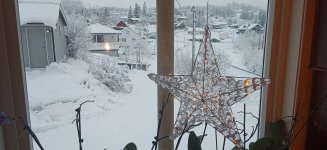 IMG_20201212_101536_060.jpg