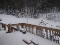 20201201_120837_resize_49.jpg