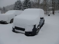 Hondas_x.jpg