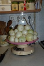 Some_Onions.jpg