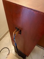plugs.jpg