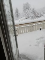 IMG_20201213_114737_339.jpg