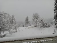 IMG_20201213_114719_841.jpg