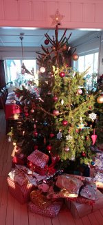 IMG_20201224_124619_296.jpg