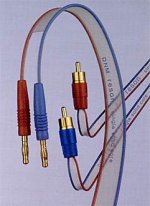 DNM_RCA.jpg