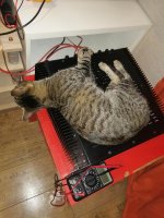IMG_20201114_164436.jpg