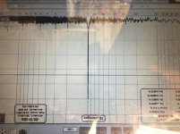 FC3E384F-E284-410C-BDE2-7B6017CC29D4.jpg