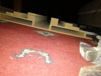 IMG_20201015_233730.jpg